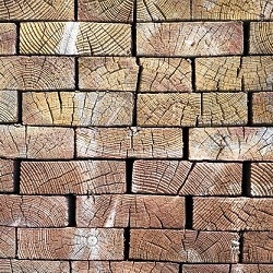 Timber – Top – Left